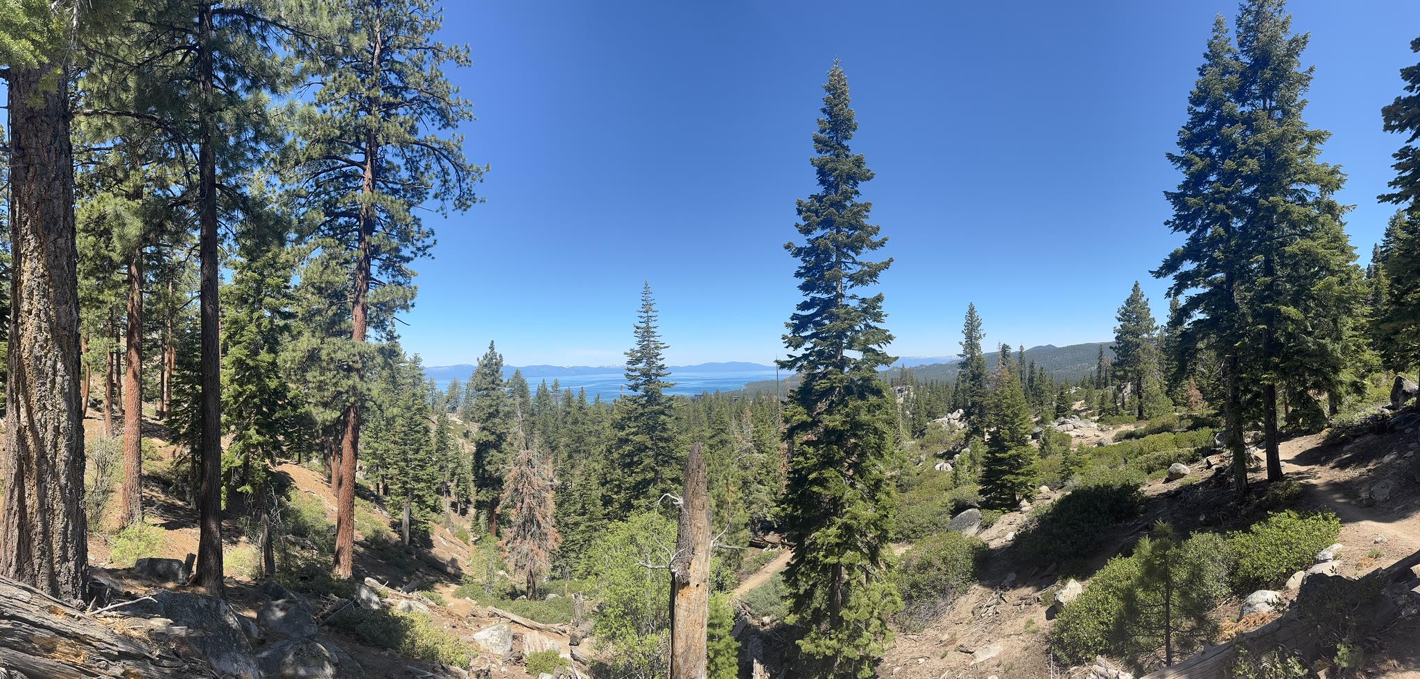 First lake view of the day from the trail above South Lake Tahoe — the lake spread out below, framed by tall pines