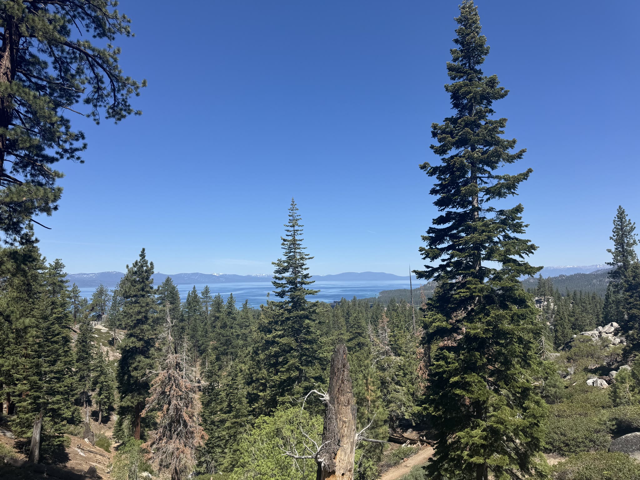 Same crest, different framing — sky-water-trees in roughly equal thirds
