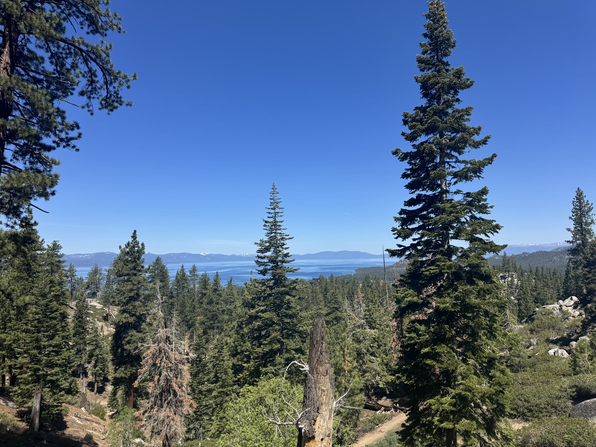 The lake opening up wide as the trail crests a small rise