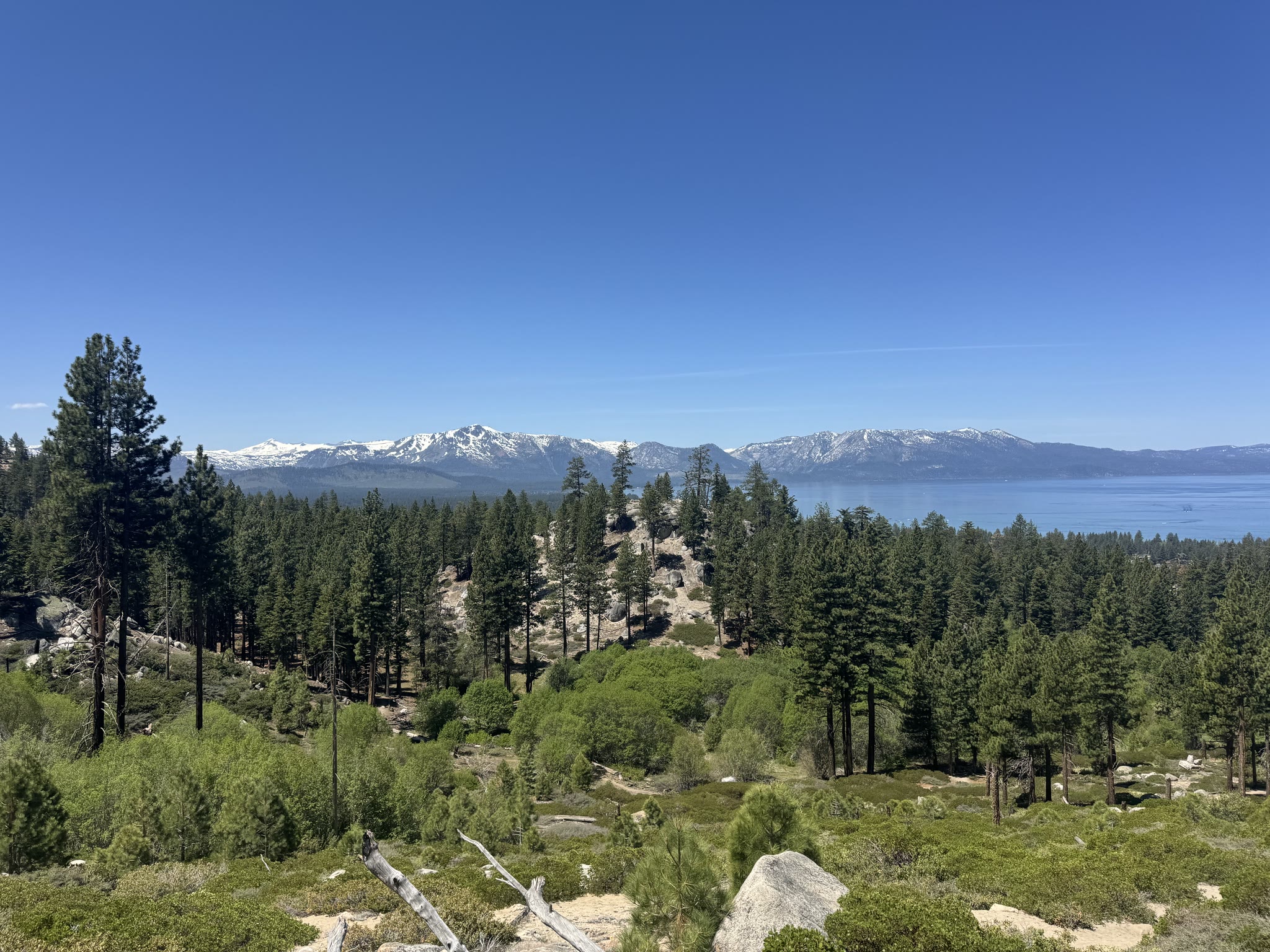Sierras across the lake — snow-capped peaks rising above the dark waterline, tall pines in the foreground