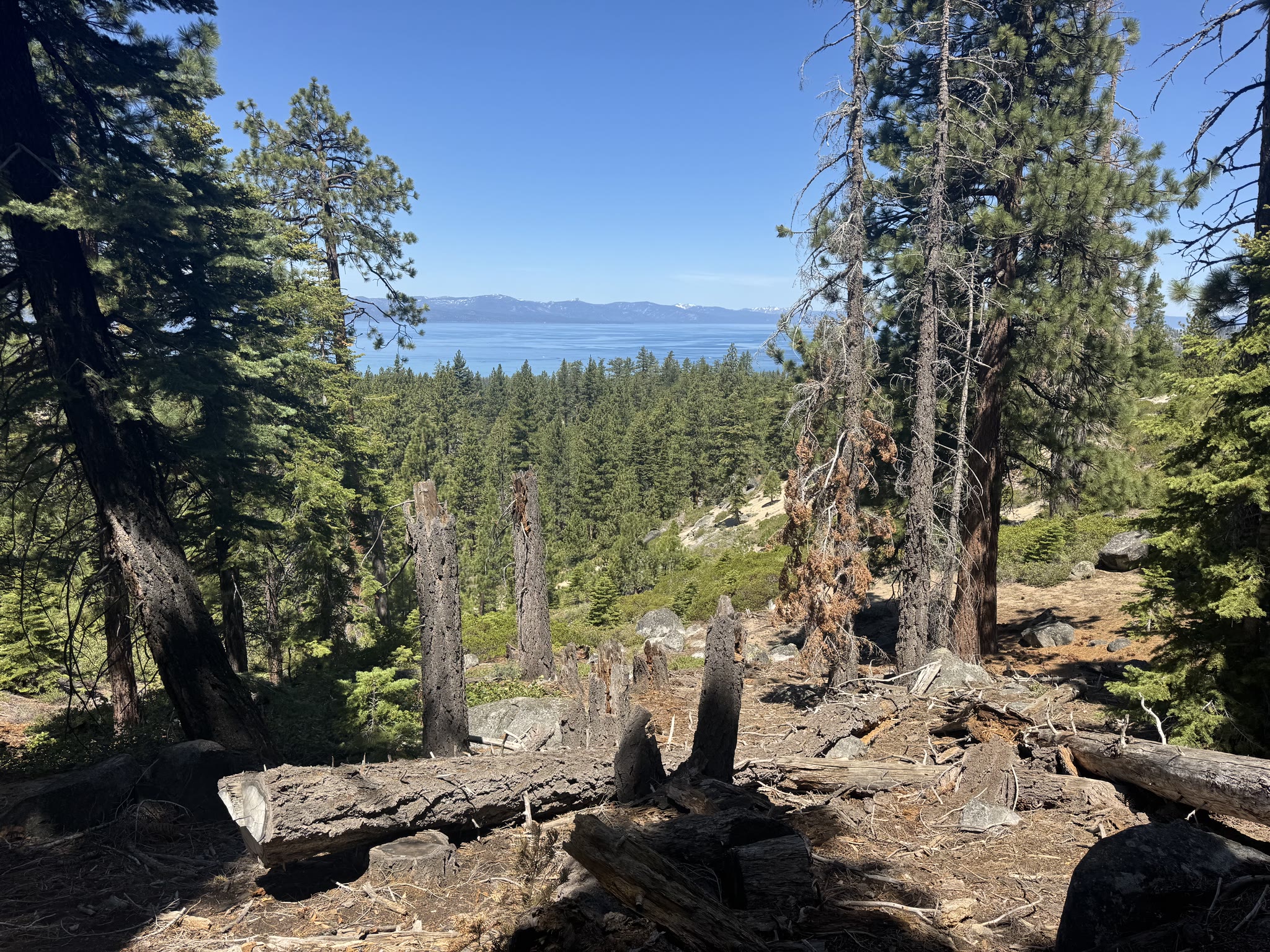 Tighter view of the snowcaps with the lake's bright surface in the foreground