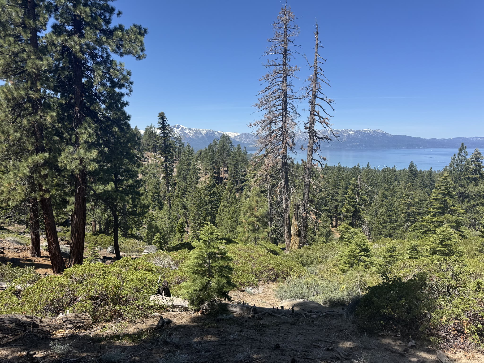 Wide view across the lake to the snow-capped Sierras and a distant near-shoreline