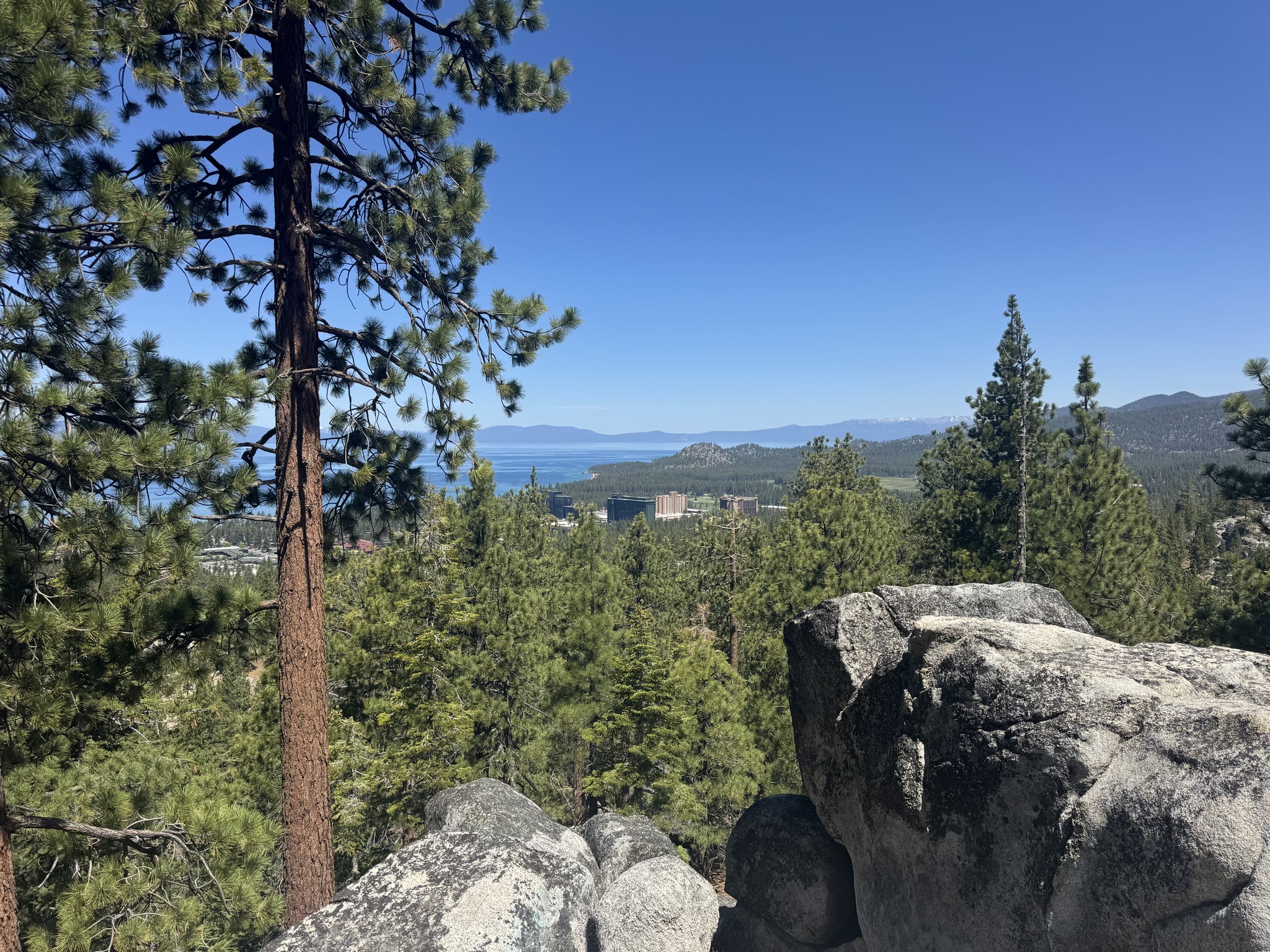 The South Lake Tahoe / Stateline buildings tucked into the south shore, seen from the trail