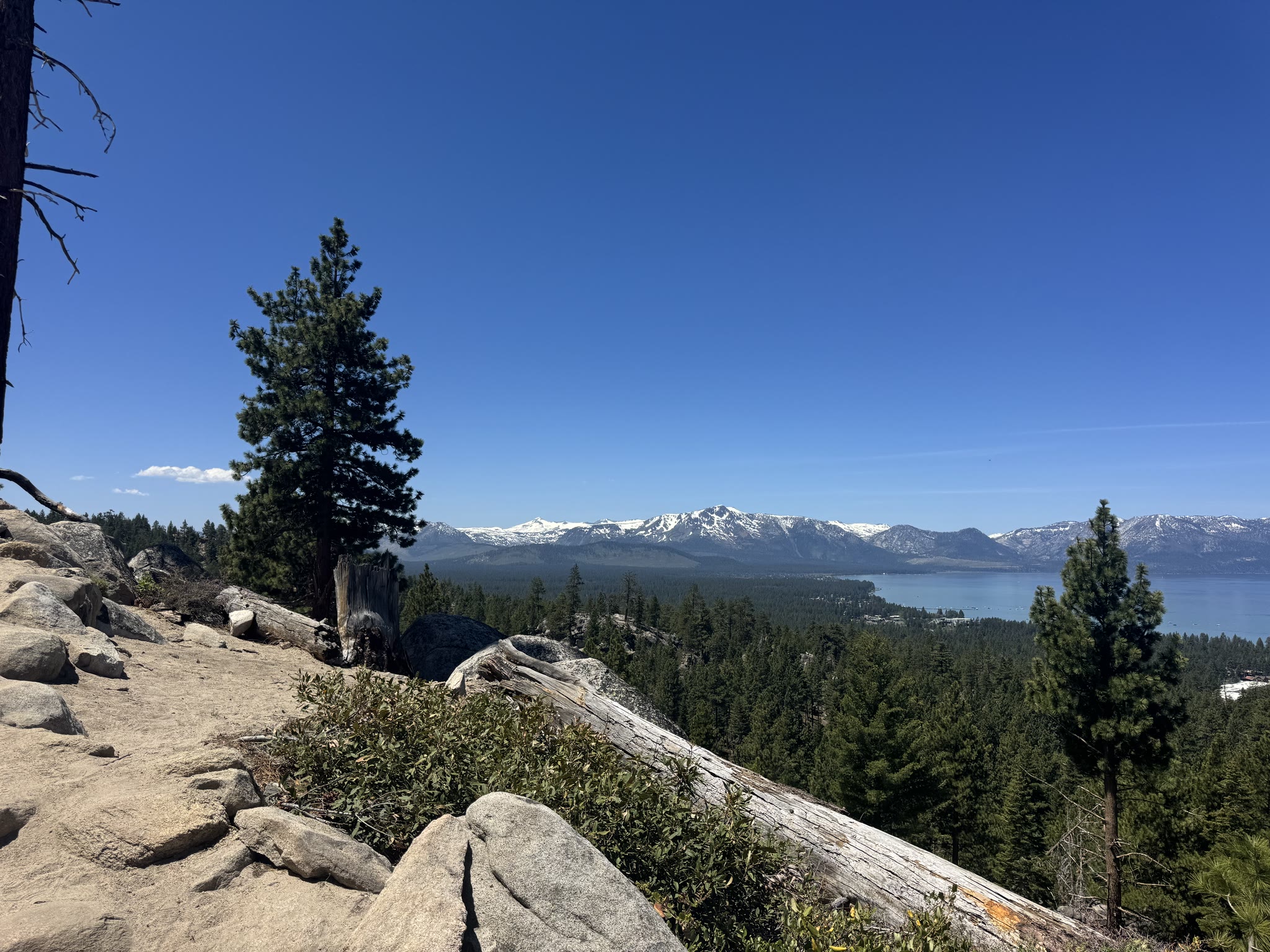 Trail-level view down to the lake, low shrubs in the foreground