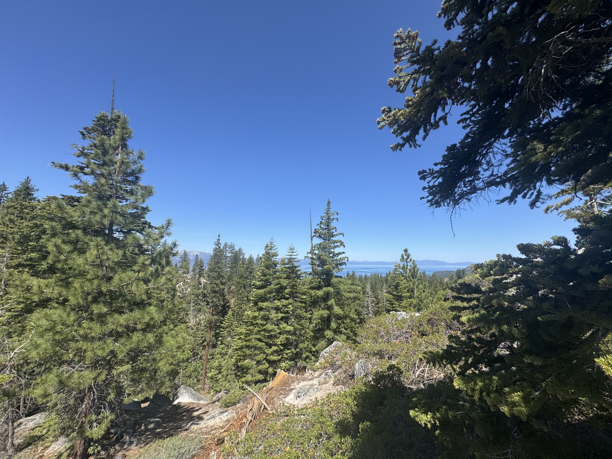 Open trail through meadow grass and shrubs, lake on the horizon